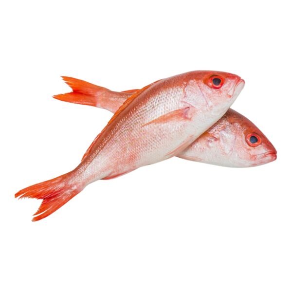 Poissons rouges surgelés Ferma (1 lb)